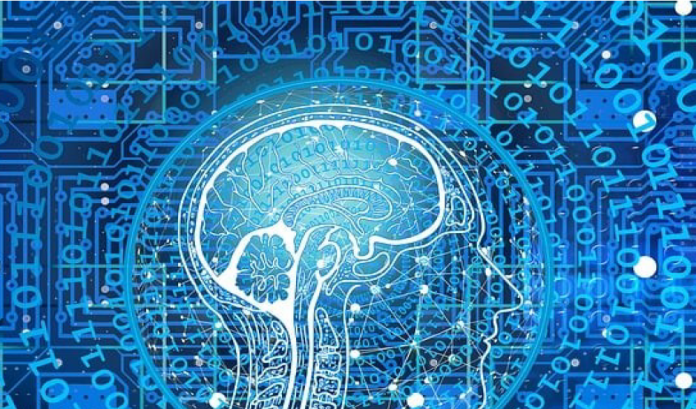 cervello stilizzato con numeri