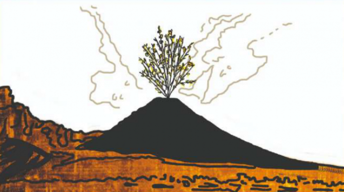Vulcano con fiori che escono dalla bocca del cratere